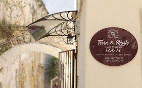 Alla Corte Degli Alberolungo